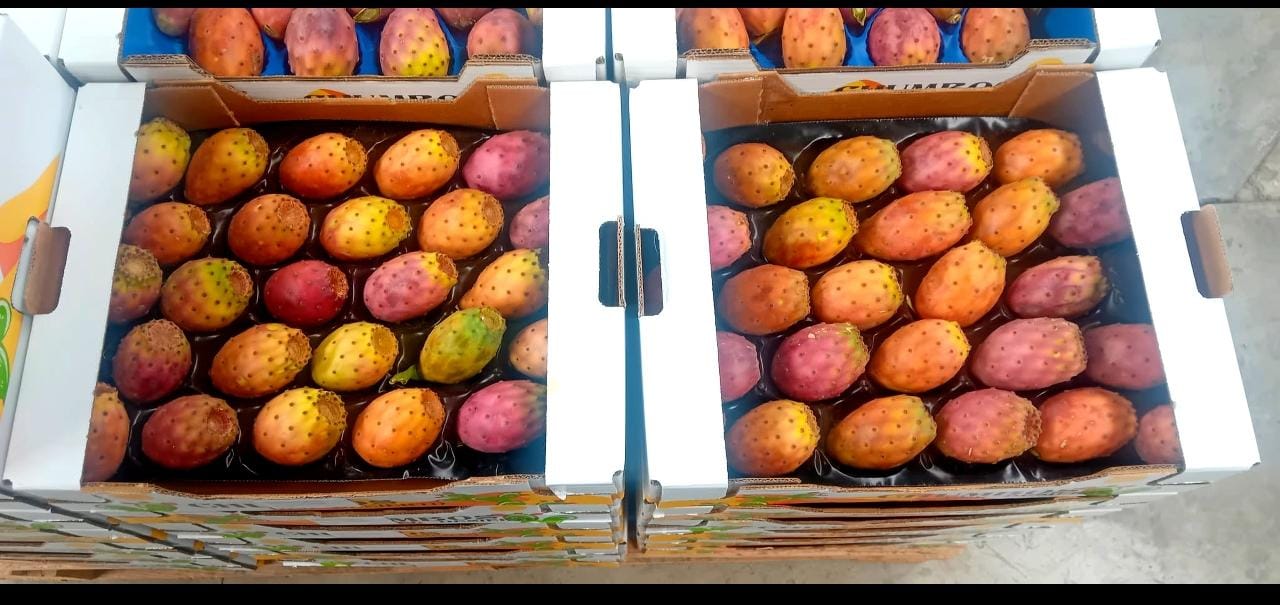 Chumbos Artesanales del Desierto
