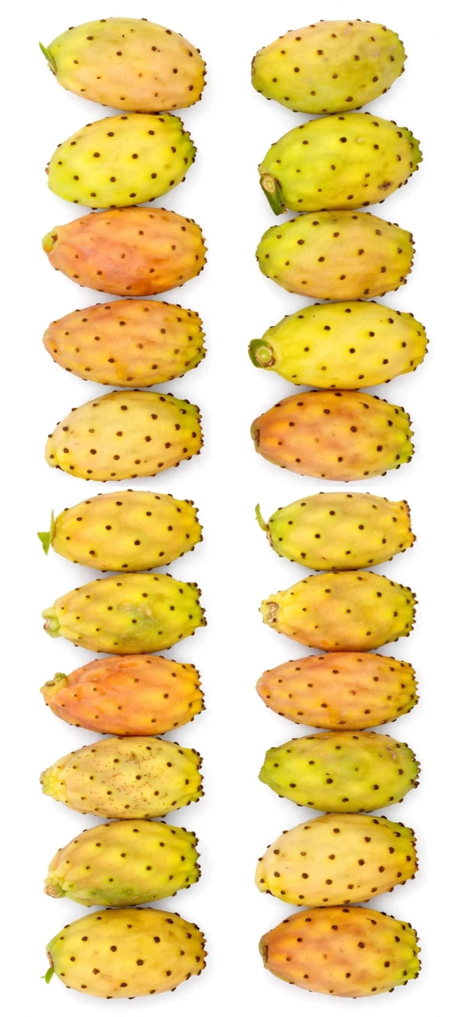 Chumbos Artesanales del Desierto