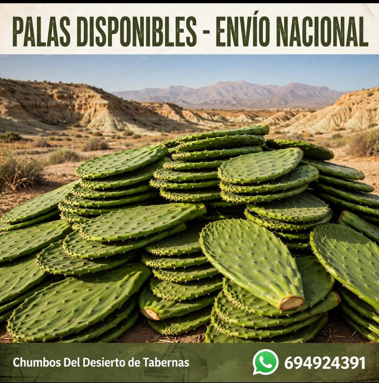 Palas de Chumbos Frescas