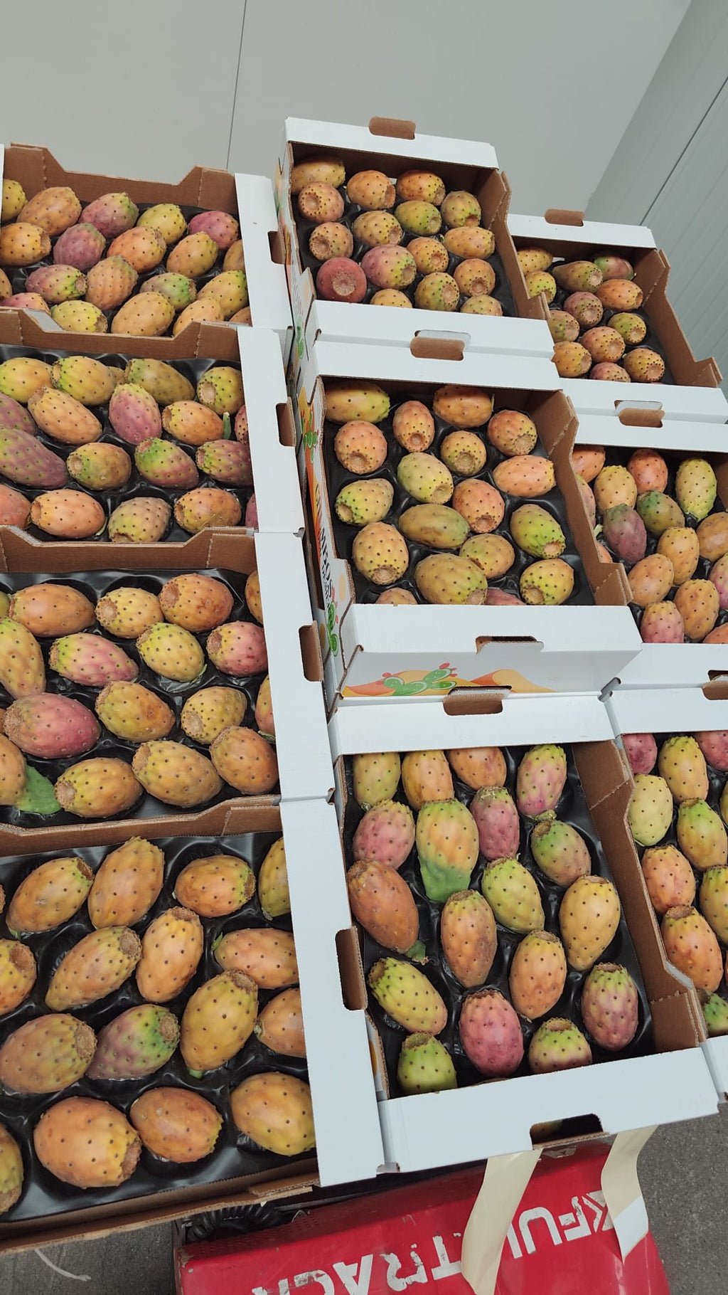 Chumbos Artesanales del Desierto